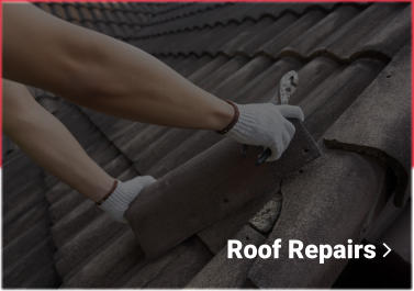 Roof Repairs 